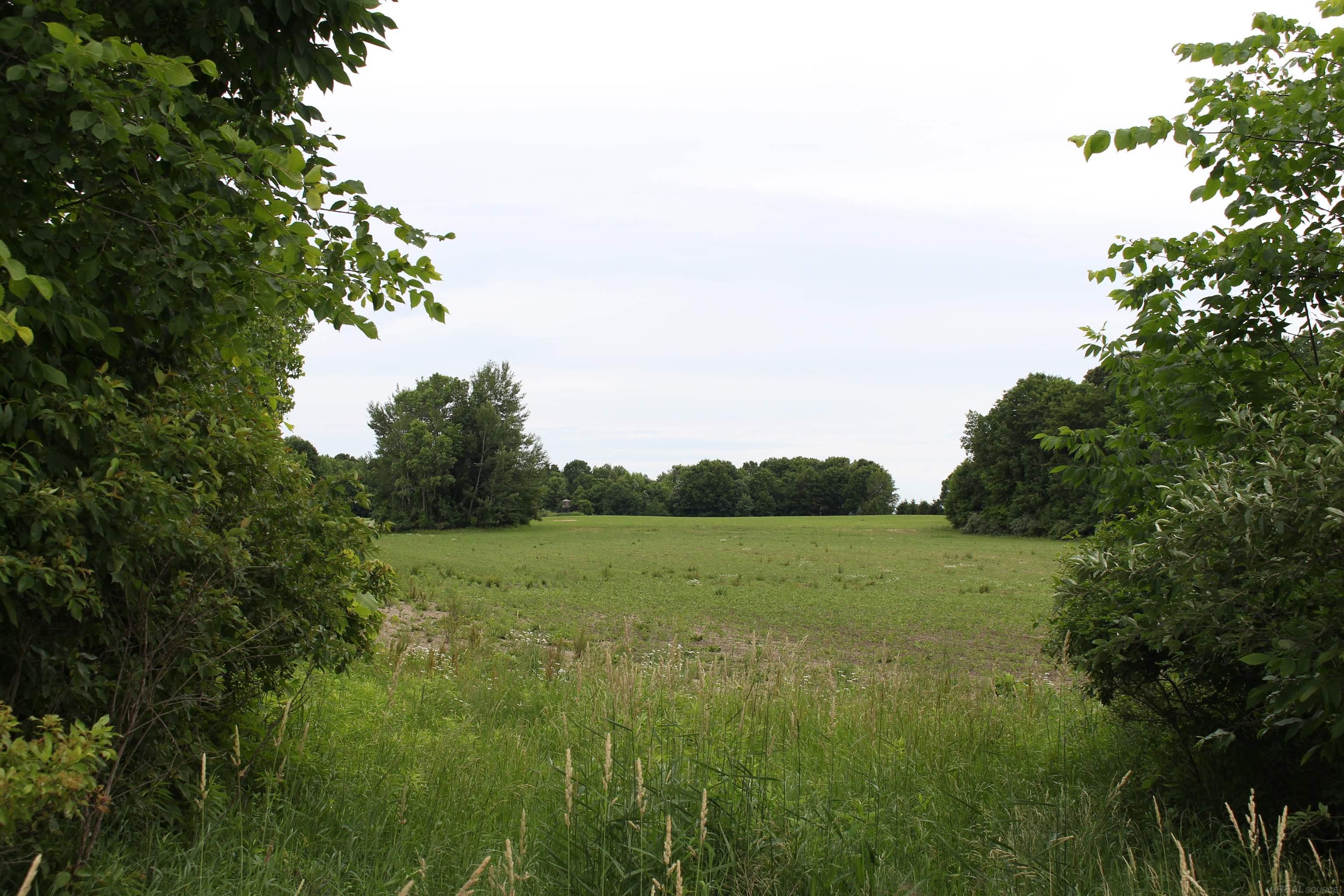 Tbd West Burnside Road Otter Lake, MI 48464 - Photo 4 of 6
