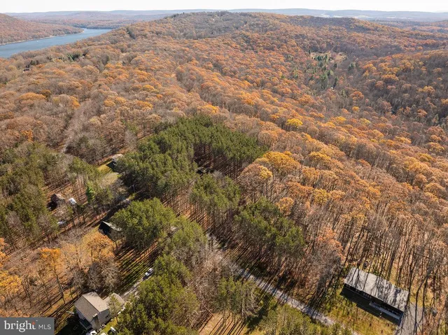 a view of tree with wooden fence