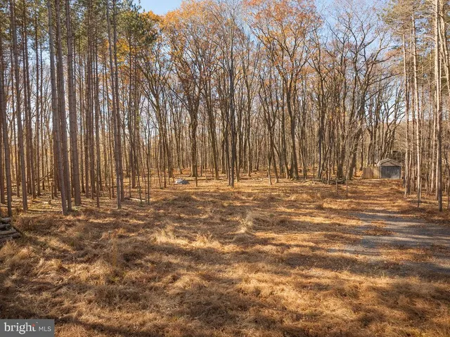 a view of wooden fence