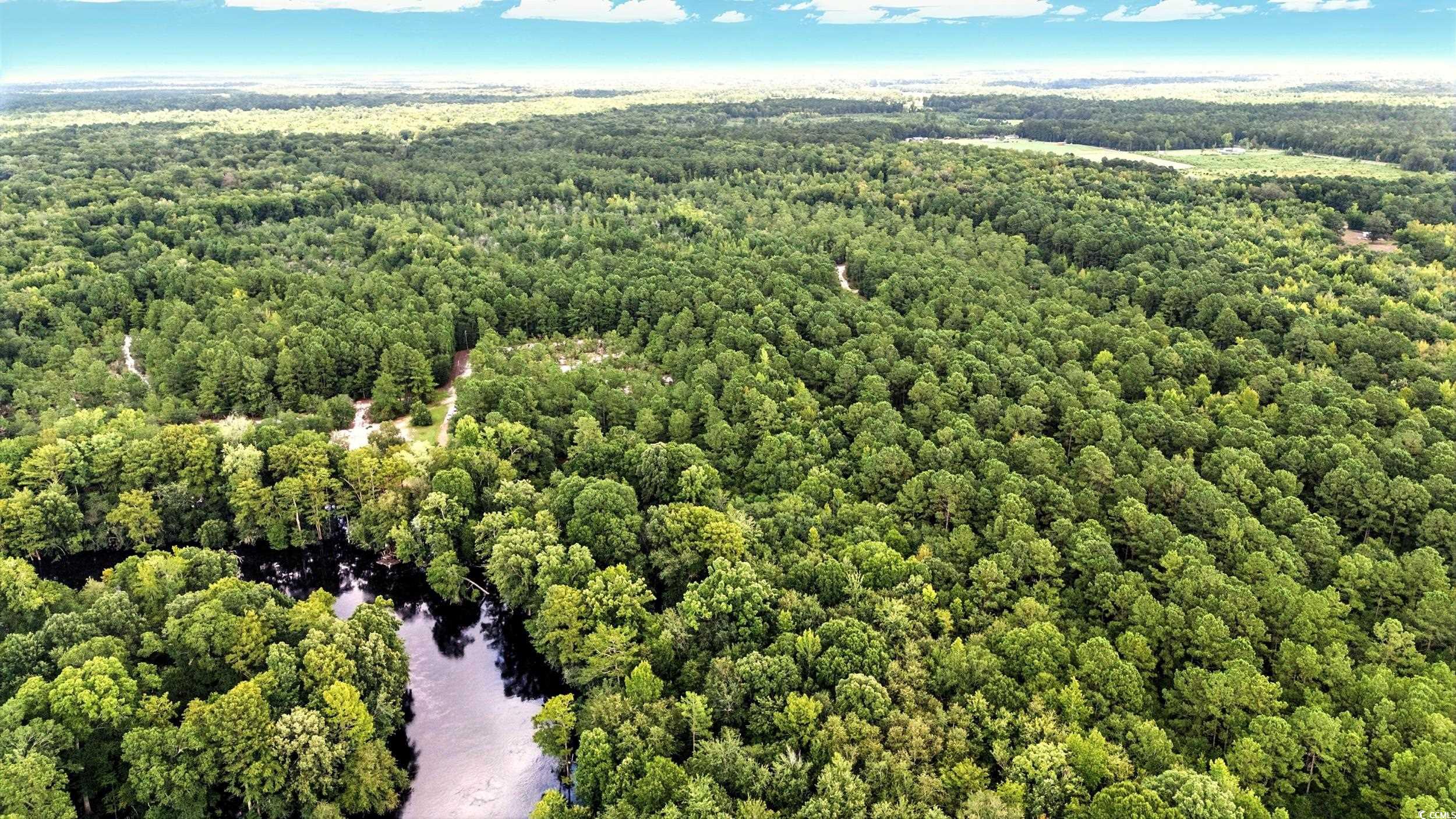 Tbd Vance Lane Nichols, SC 29581 - Photo 1 of 8 Drone / aerial view of a forest and a large body o