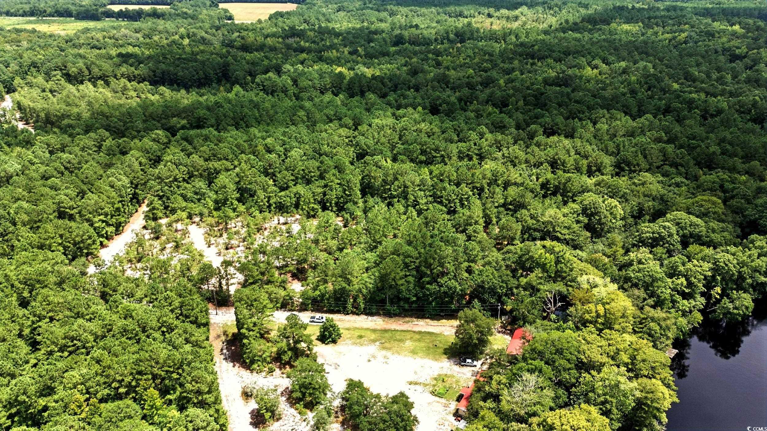 Tbd Vance Lane Nichols, SC 29581 - Photo 4 of 8 Aerial view of a heavily wooded area and a nearby