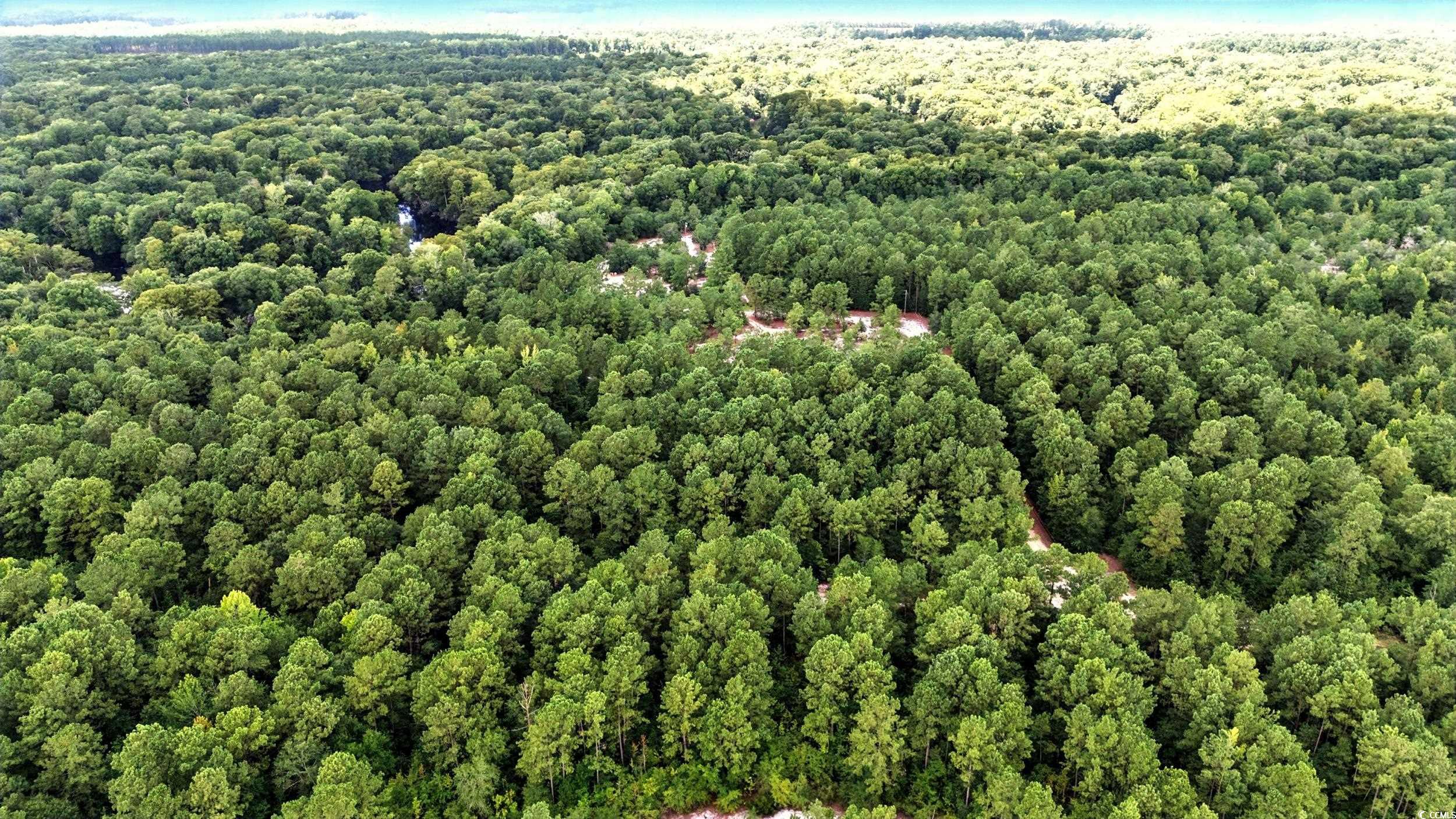 Tbd Vance Lane Nichols, SC 29581 - Photo 5 of 8 Aerial view of a heavily wooded area