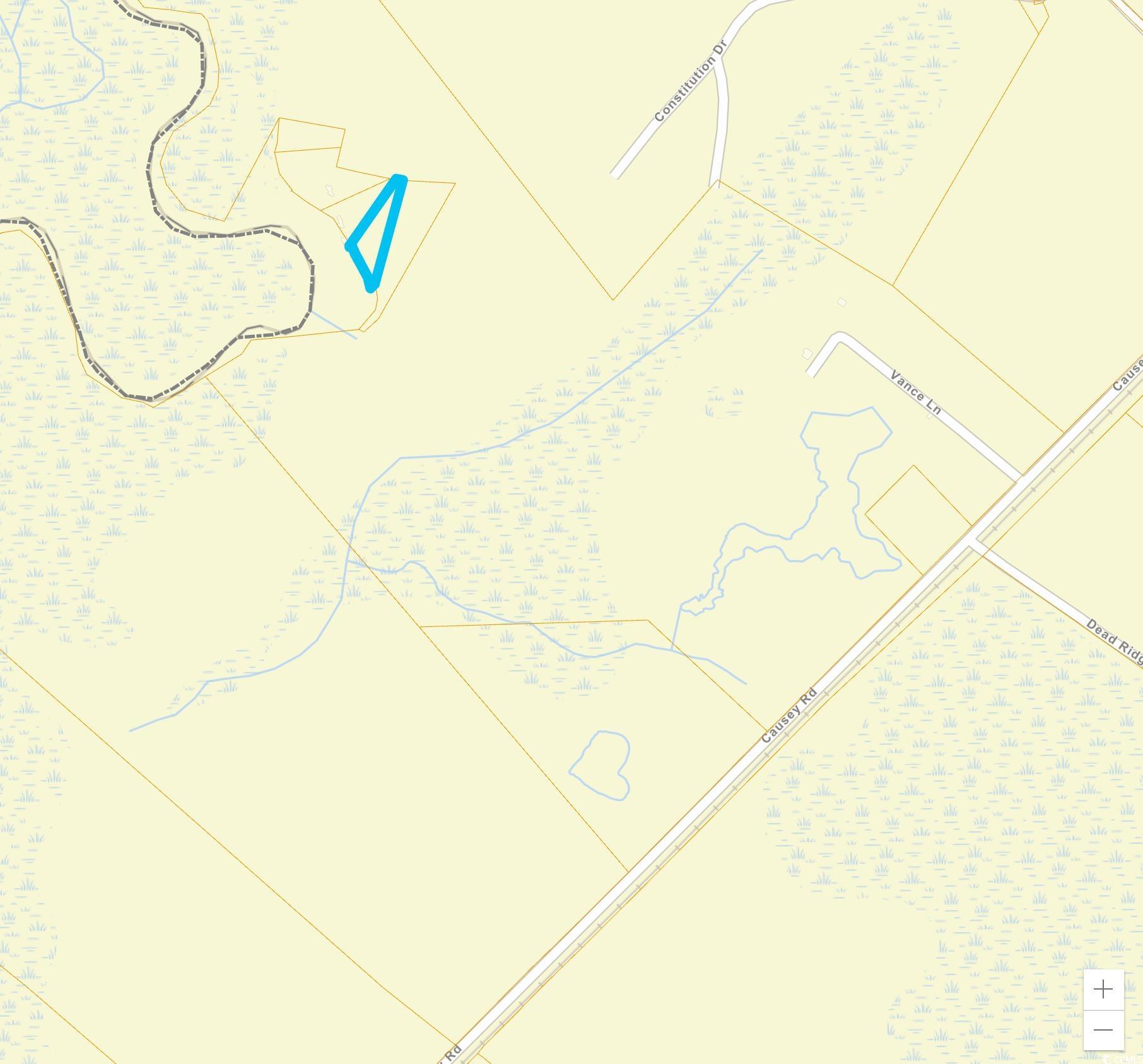 Tbd Vance Lane Nichols, SC 29581 - Photo 8 of 8 Map / location