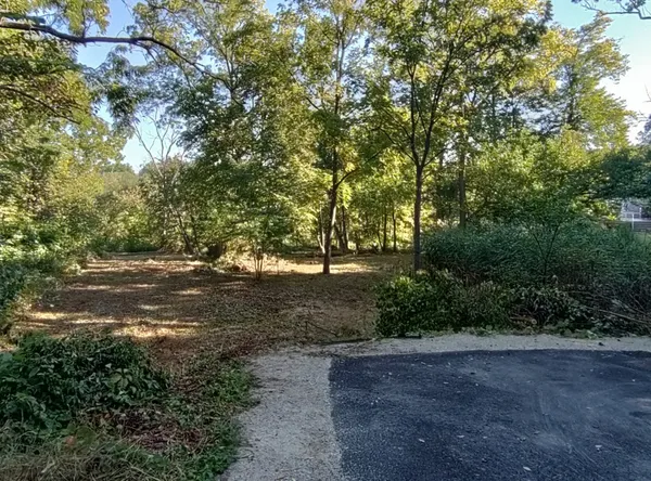 a view of a yard with a tree