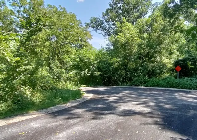a view of a field with trees in the background
