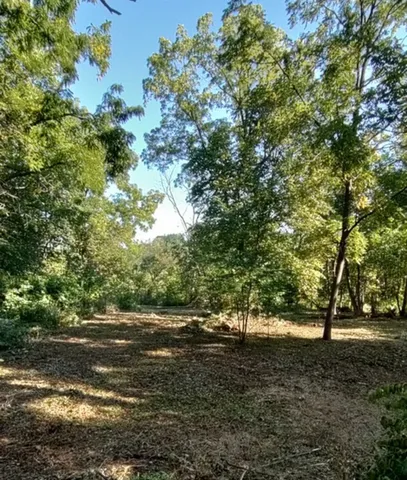 a view of outdoor space and yard