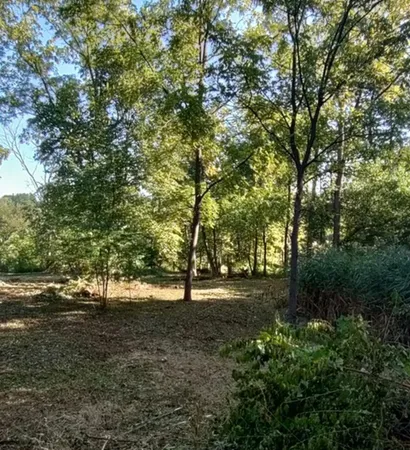 a view of dirt field with trees