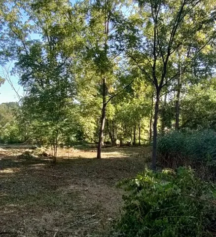 a view of dirt field with trees
