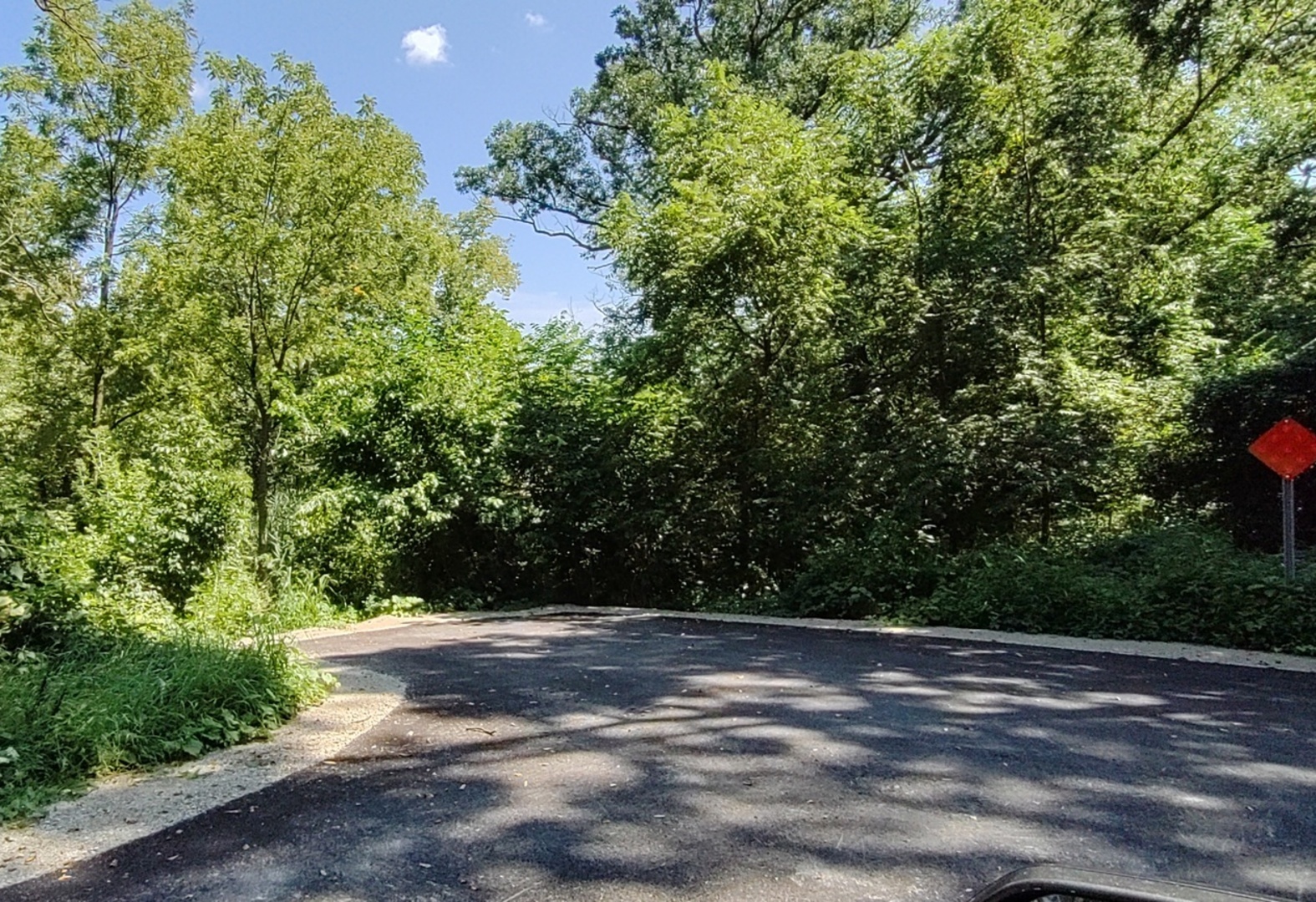 11 Rohrssen Road Elgin, IL 60120 - Photo 8 of 8