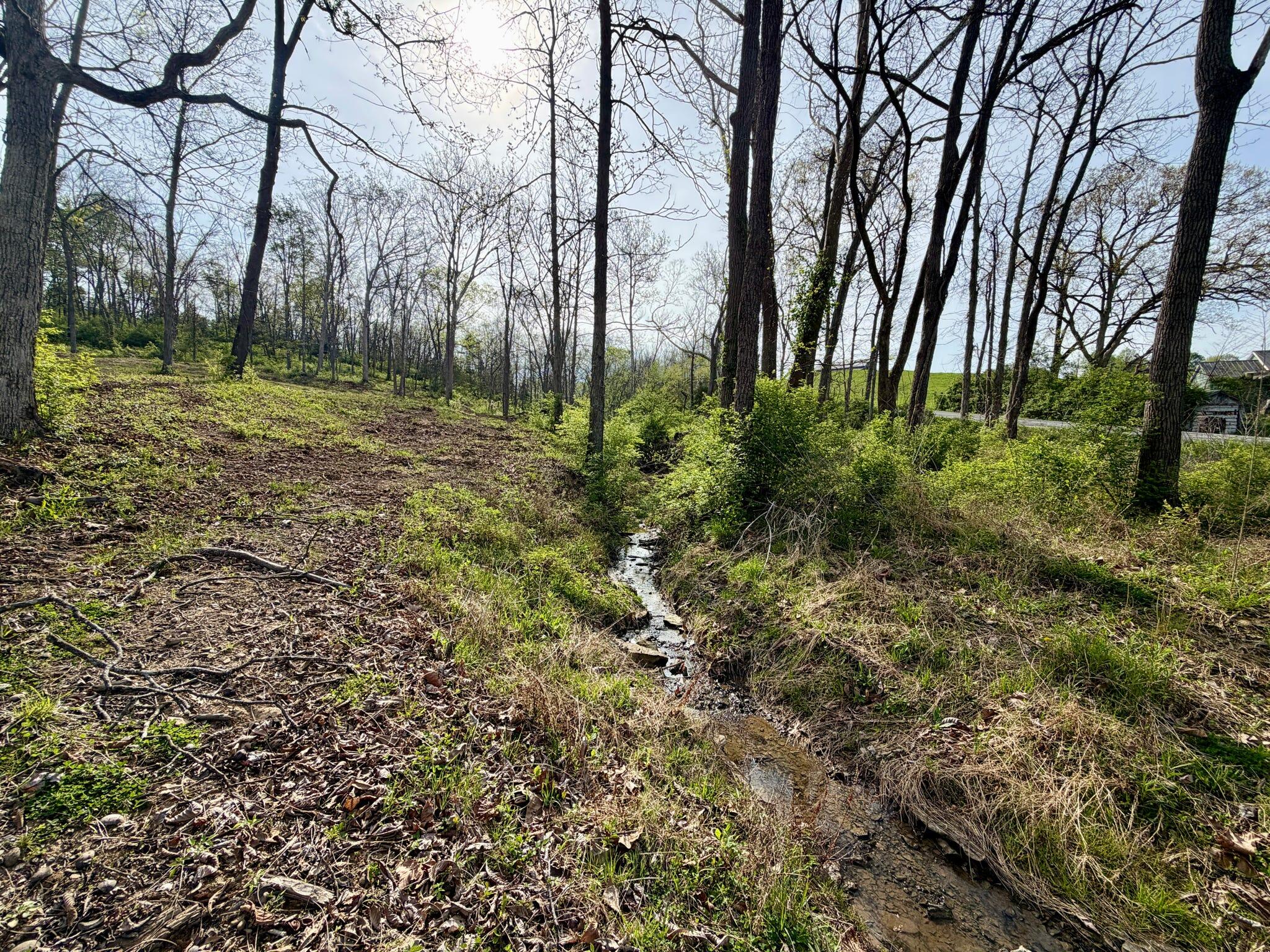 24 East Union Road Carlisle, KY 40311 - Photo 49 of 52 creek