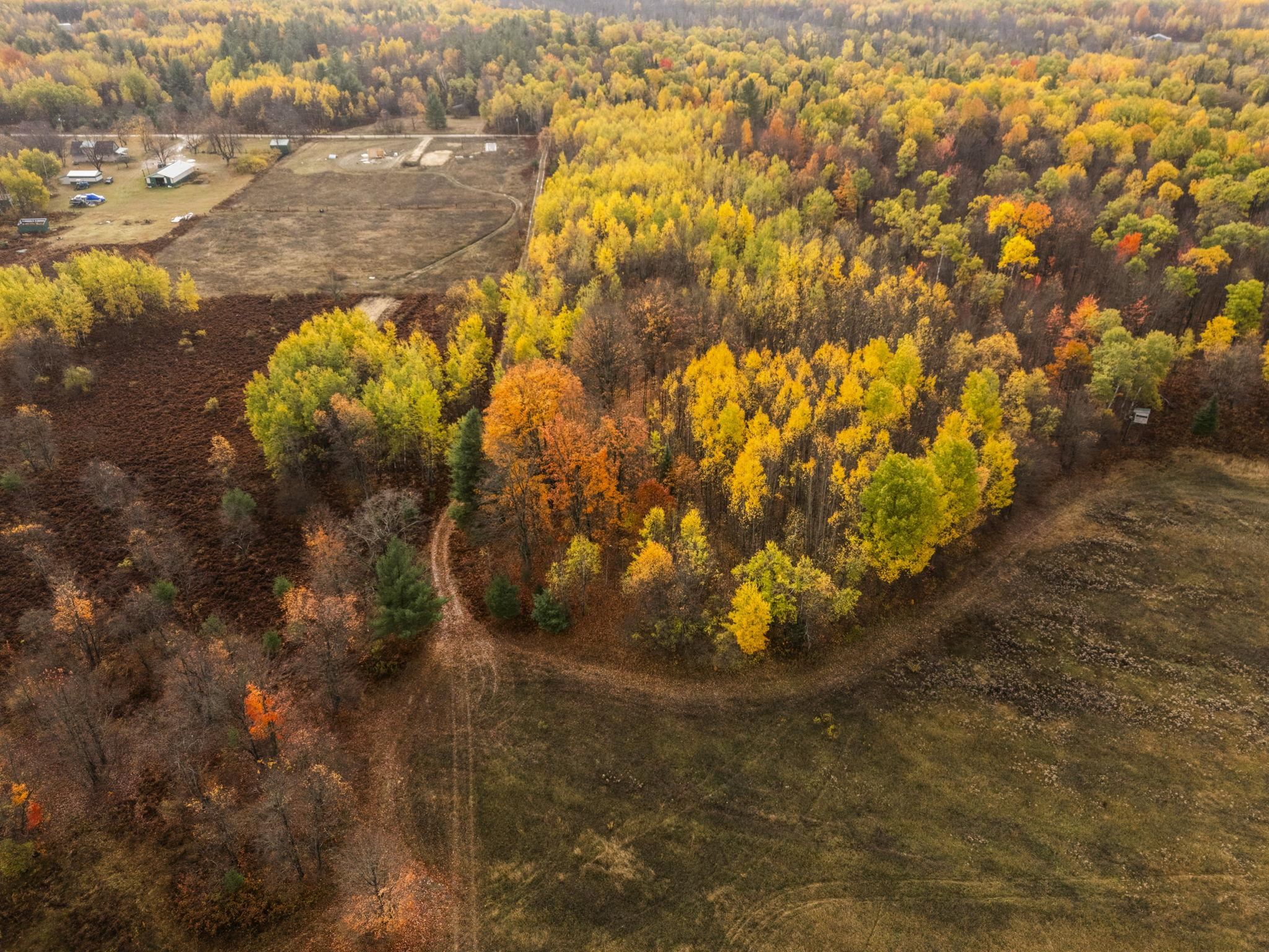 3976 Irvin Road Kingsley, MI 49649 - Photo 36 of 68