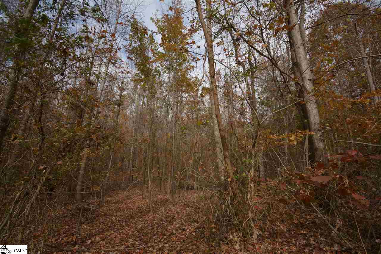 0 Bramlett Road Taylors, SC 29687 - Photo 2 of 33 Gallery Image 2