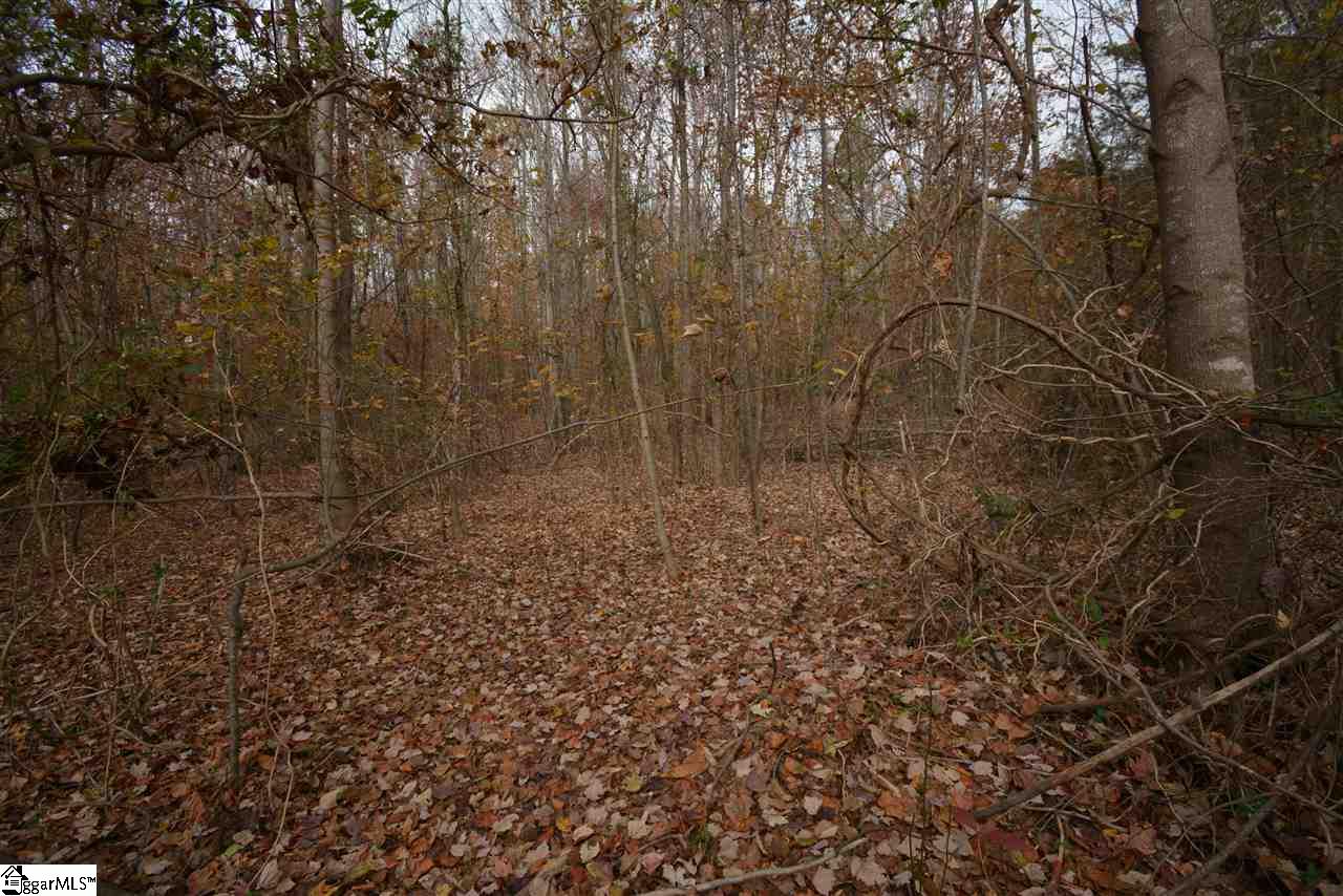 0 Bramlett Road Taylors, SC 29687 - Photo 11 of 33 Gallery Image 11