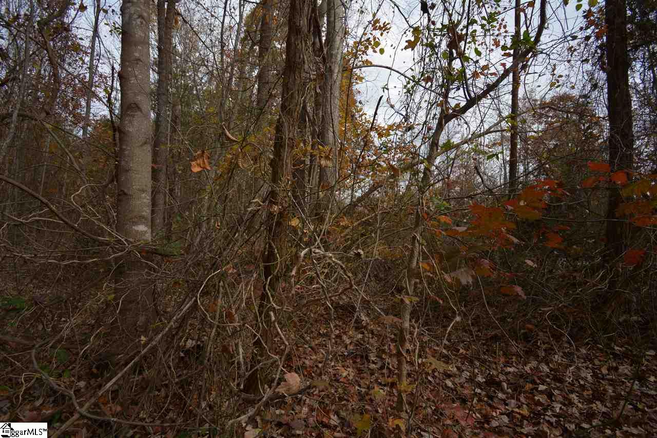 0 Bramlett Road Taylors, SC 29687 - Photo 12 of 33 Gallery Image 12
