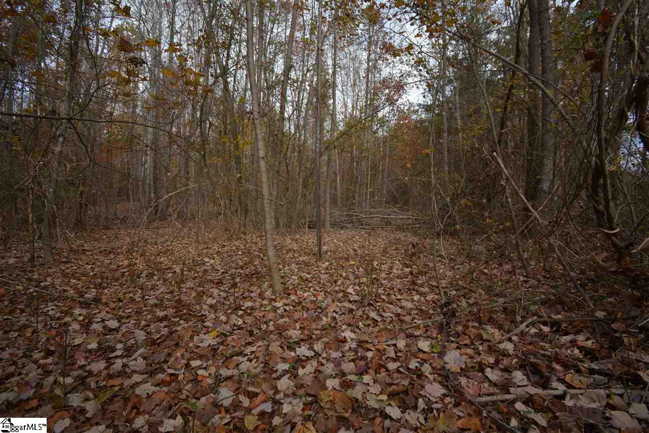 0 Bramlett Road Taylors, SC 29687 - Photo 13 of 33 Gallery Image 13