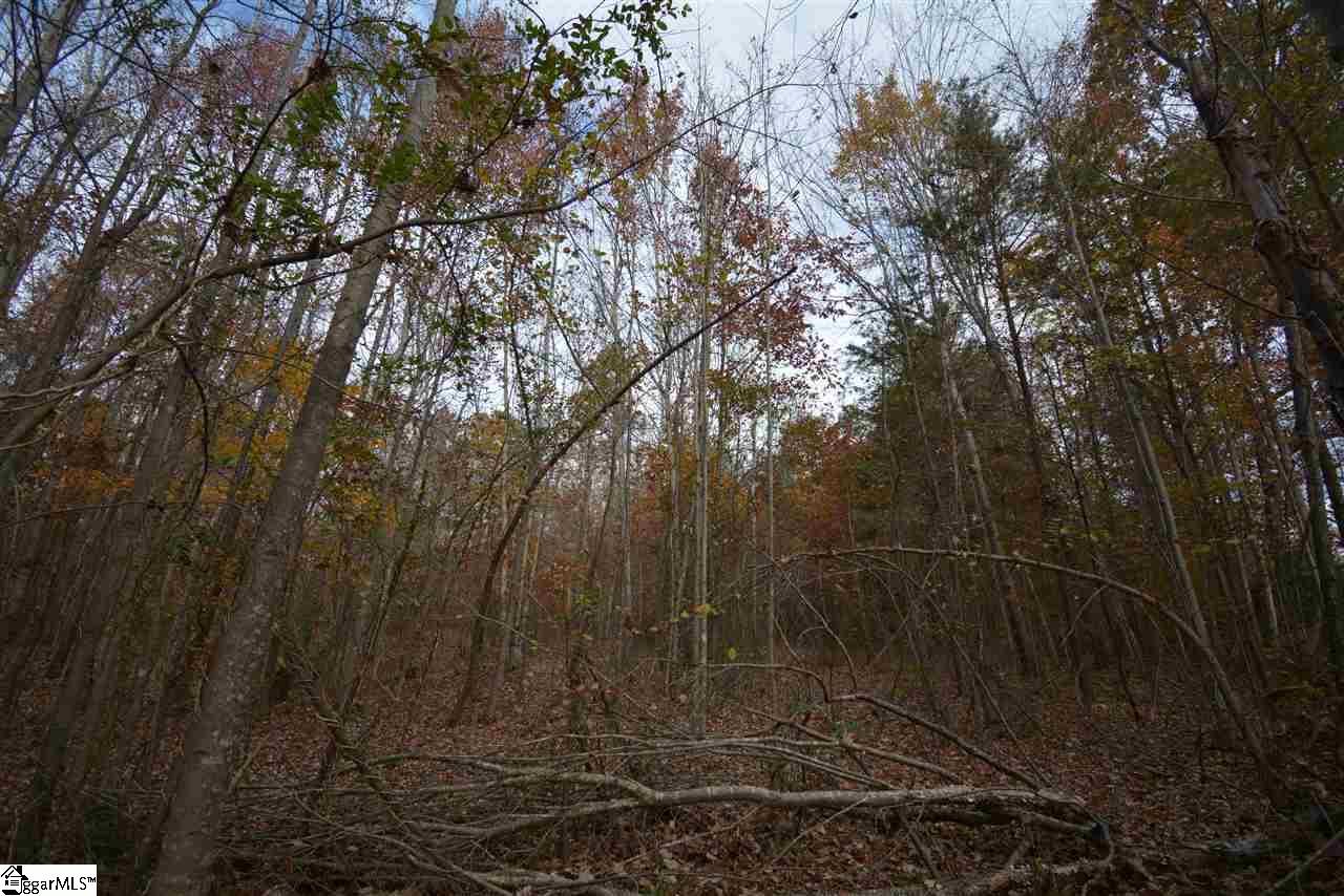 0 Bramlett Road Taylors, SC 29687 - Photo 14 of 33 Gallery Image 14