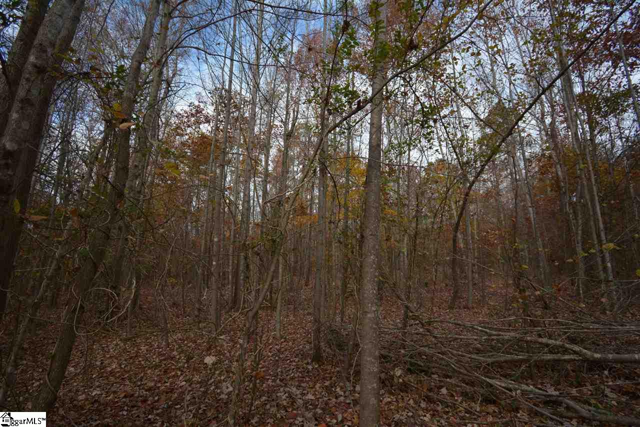 0 Bramlett Road Taylors, SC 29687 - Photo 15 of 33 Gallery Image 15