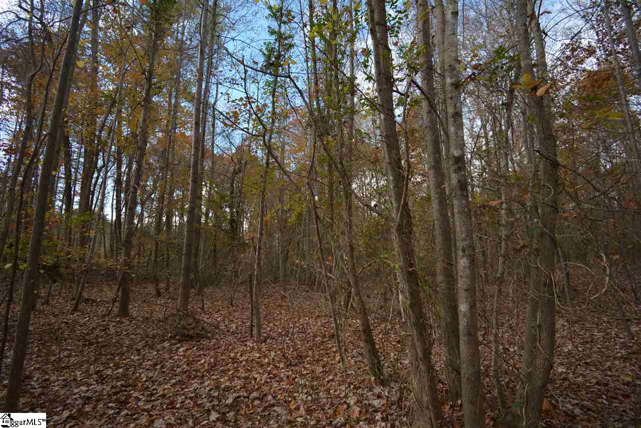 0 Bramlett Road Taylors, SC 29687 - Photo 16 of 33 Gallery Image 16