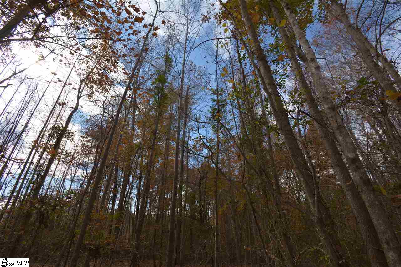 0 Bramlett Road Taylors, SC 29687 - Photo 17 of 33 Gallery Image 17