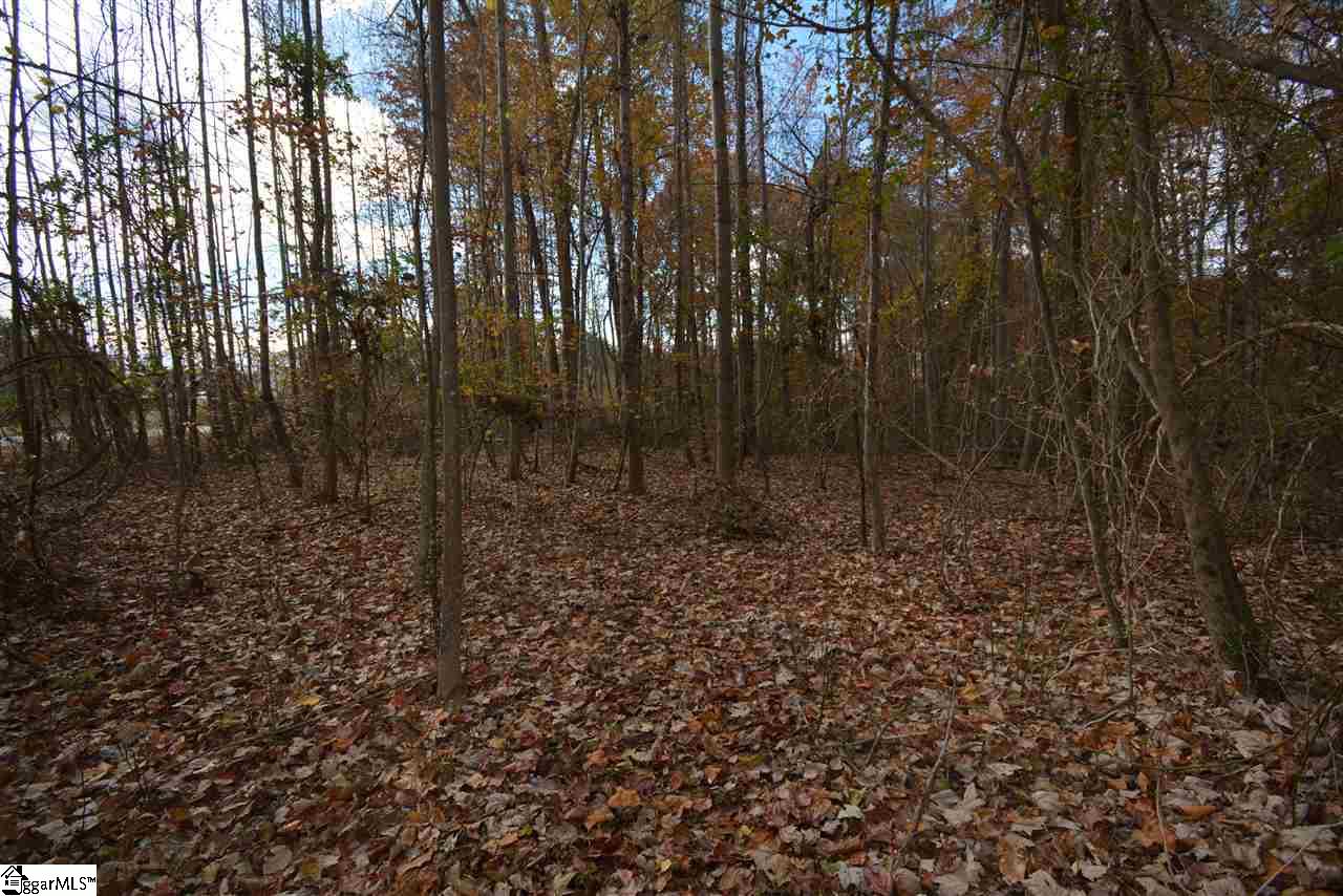 0 Bramlett Road Taylors, SC 29687 - Photo 18 of 33 Gallery Image 18