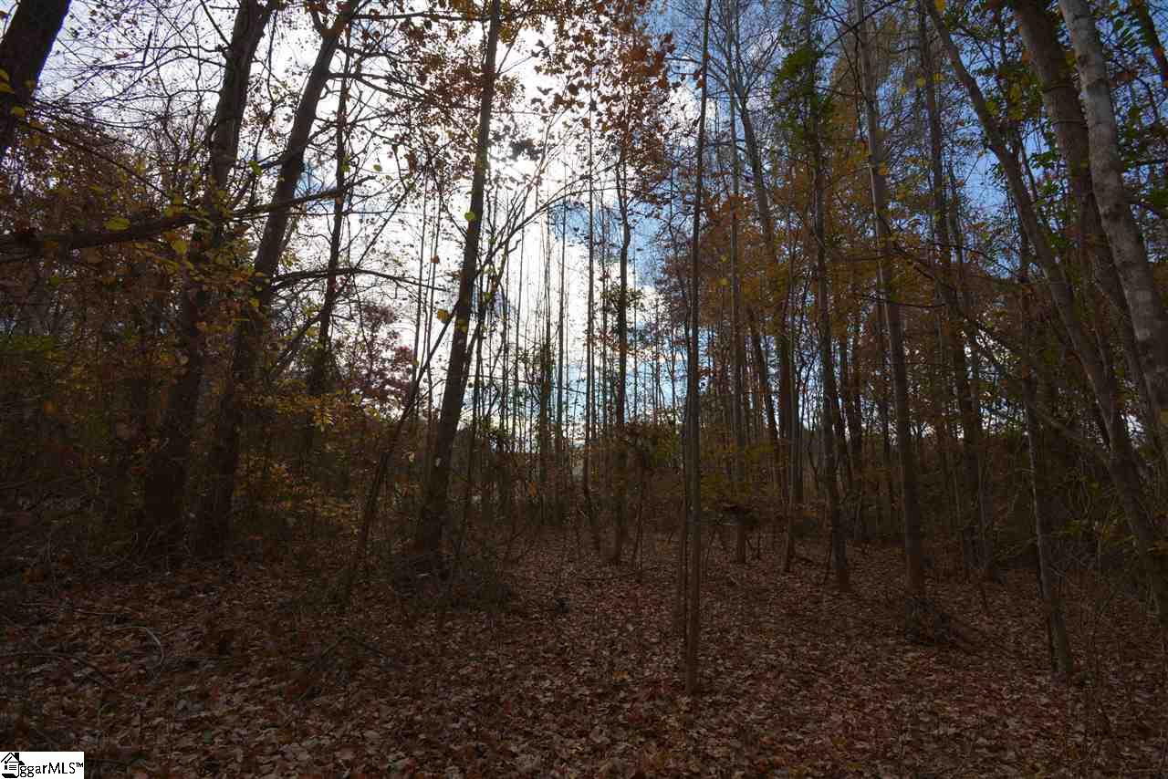 0 Bramlett Road Taylors, SC 29687 - Photo 19 of 33 Gallery Image 19