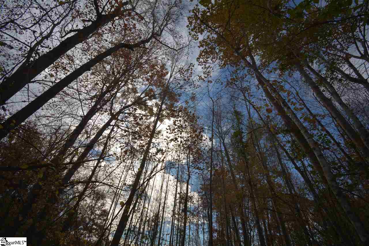 0 Bramlett Road Taylors, SC 29687 - Photo 20 of 33 Gallery Image 20