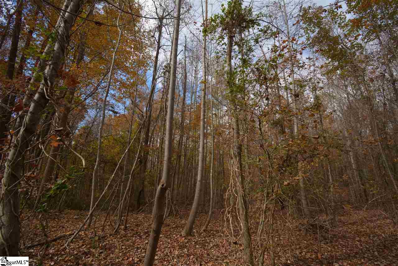 0 Bramlett Road Taylors, SC 29687 - Photo 3 of 33 Gallery Image 3