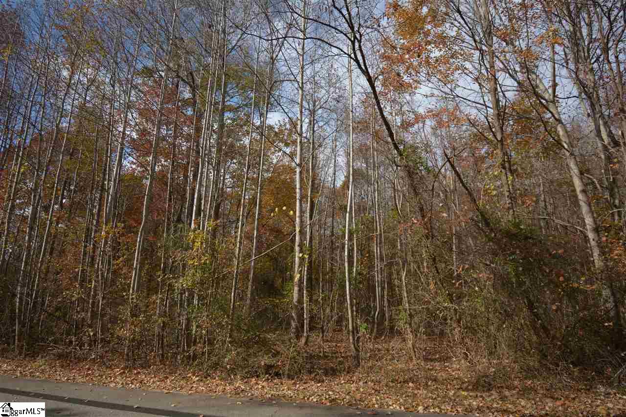 0 Bramlett Road Taylors, SC 29687 - Photo 22 of 33 Gallery Image 22