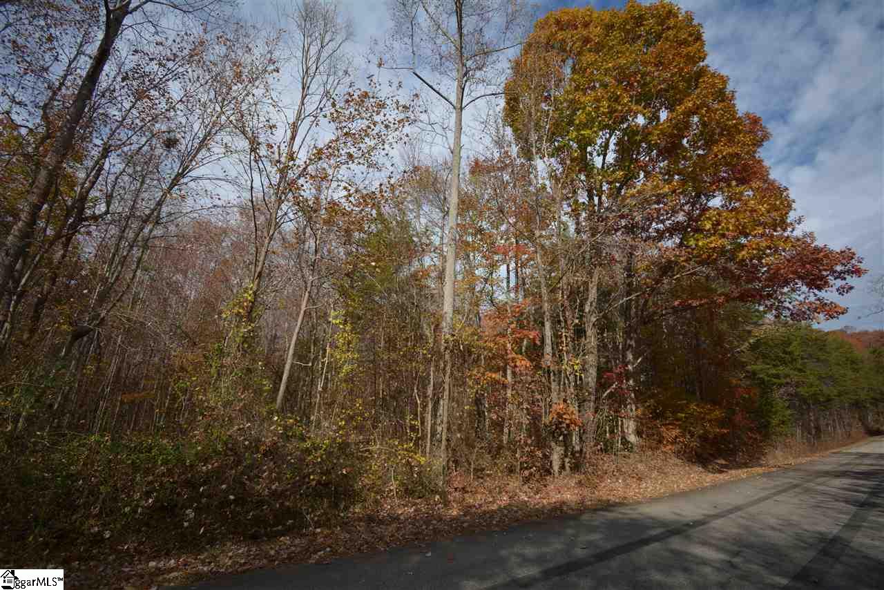 0 Bramlett Road Taylors, SC 29687 - Photo 23 of 33 Gallery Image 23