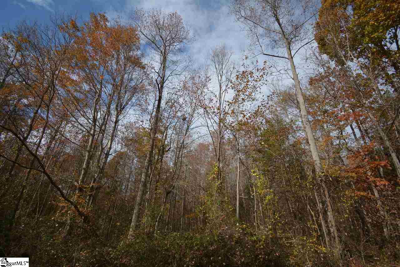 0 Bramlett Road Taylors, SC 29687 - Photo 24 of 33 Gallery Image 24