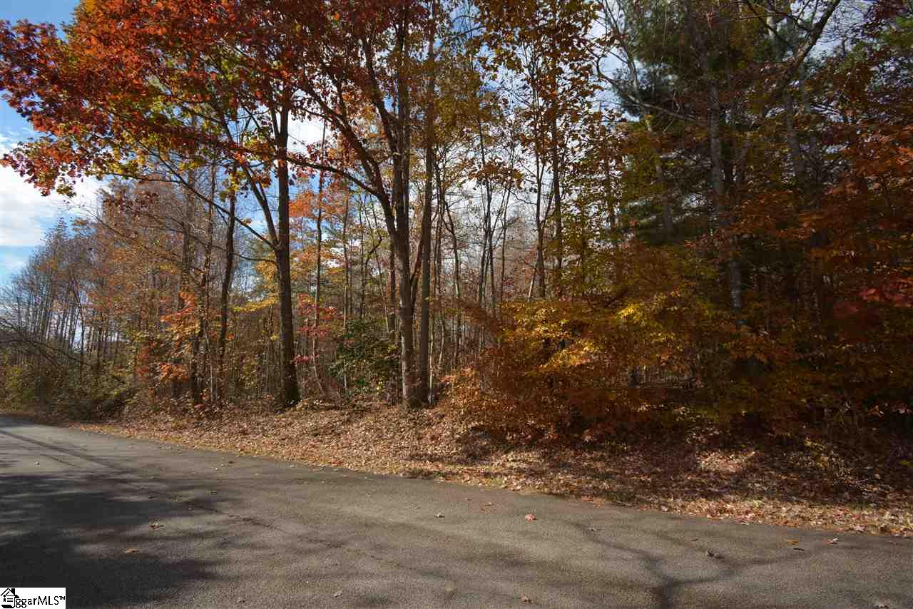 0 Bramlett Road Taylors, SC 29687 - Photo 27 of 33 Gallery Image 27