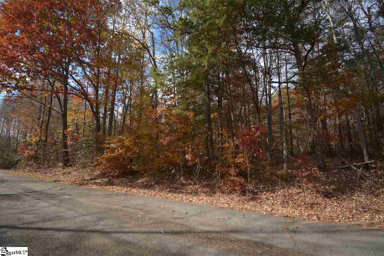 0 Bramlett Road Taylors, SC 29687 - Photo 28 of 33 Gallery Image 28