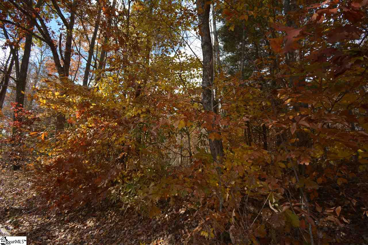 0 Bramlett Road Taylors, SC 29687 - Photo 29 of 33 Gallery Image 29