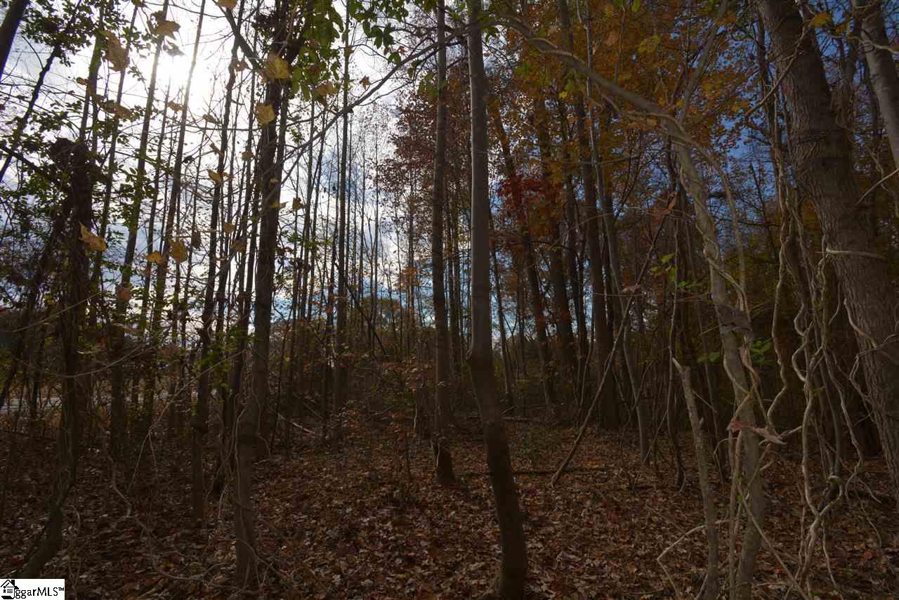 0 Bramlett Road Taylors, SC 29687 - Photo 4 of 33 Gallery Image 4