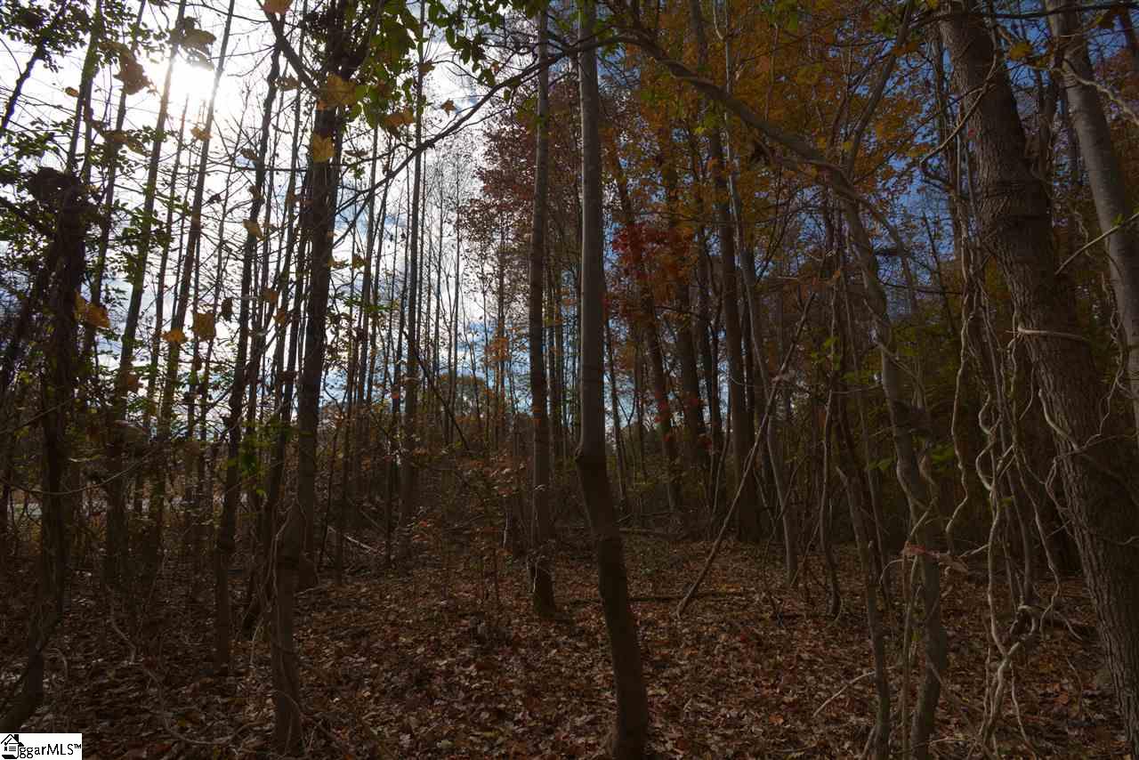 0 Bramlett Road Taylors, SC 29687 - Photo 8 of 33 Gallery Image 8