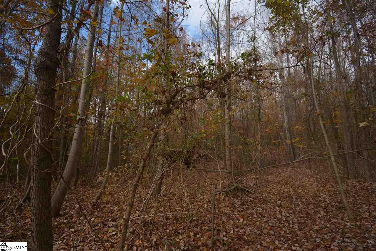 0 Bramlett Road Taylors, SC 29687 - Photo 10 of 33 Gallery Image 10