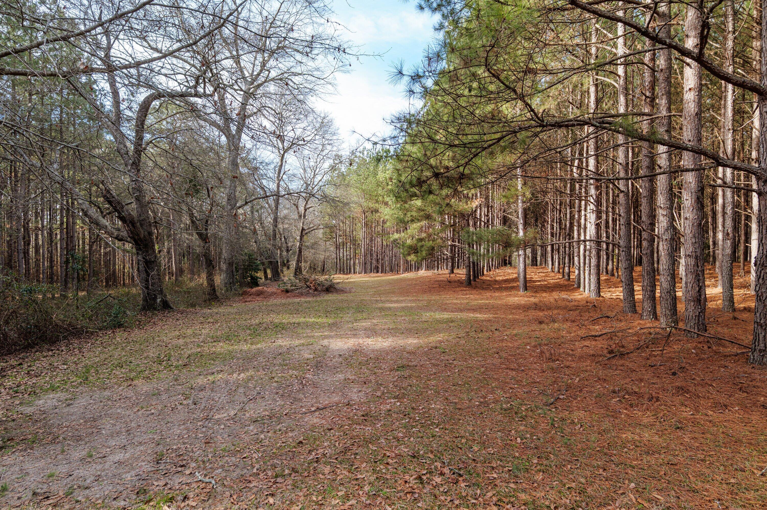 3636 Jewell Road Mitchell, GA 30820 - Photo 29 of 35 P1695177