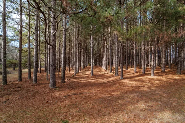 $240,000 | 3636 Jewell Road, Mitchell, GA 30820