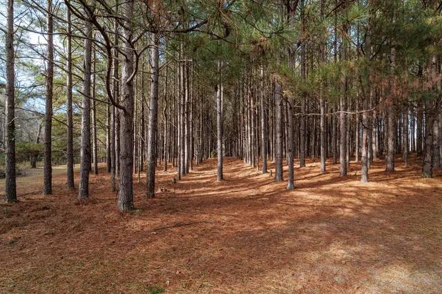 $240,000 | 3636 Jewell Road, Mitchell, GA 30820