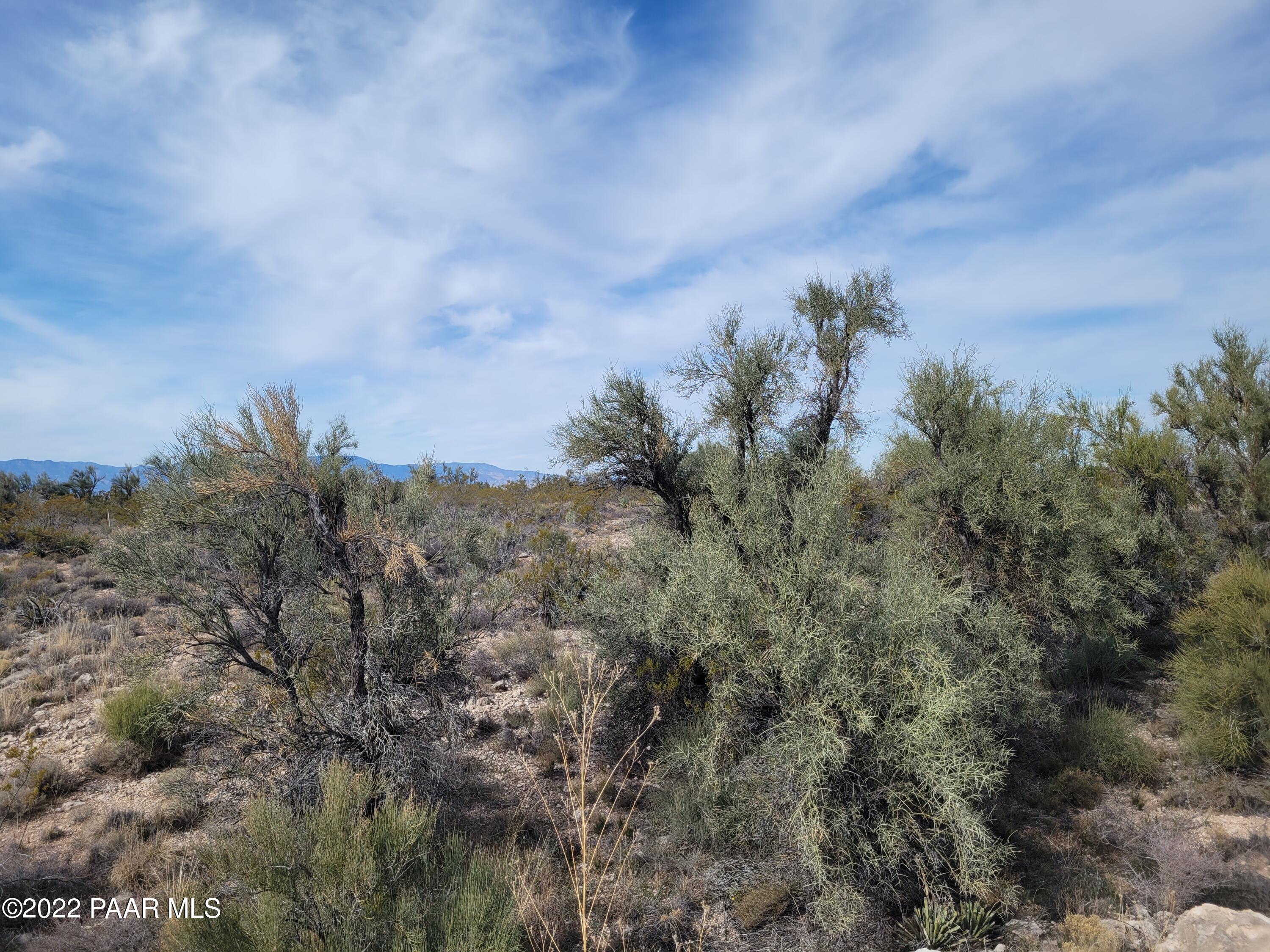 4235 East Gray Hawk Lane Rimrock, AZ 86335 - Photo 12 of 14 20220115_112759