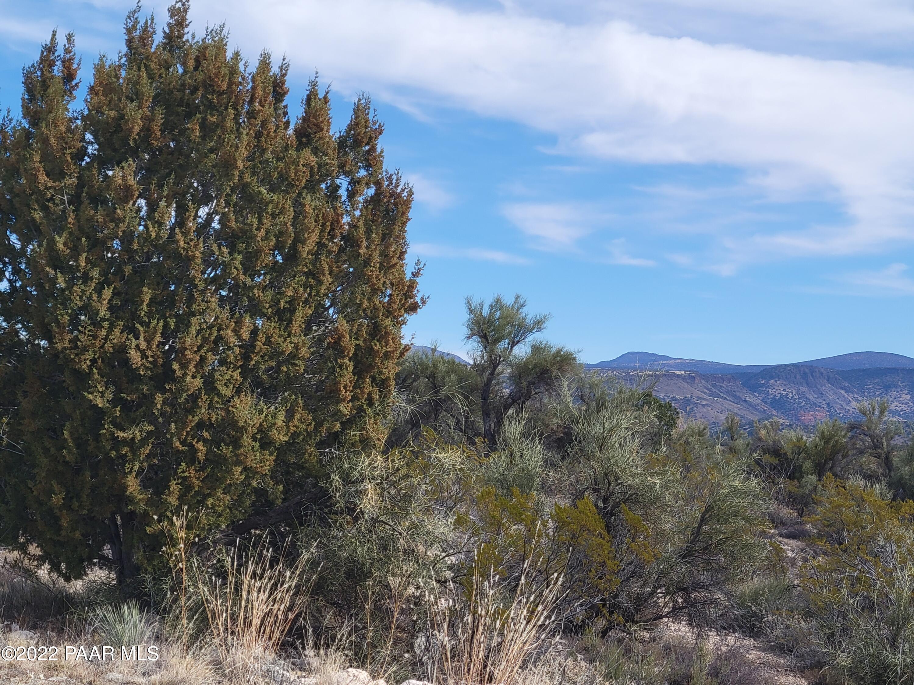 4235 East Gray Hawk Lane Rimrock, AZ 86335 - Photo 4 of 14 20220115_112818