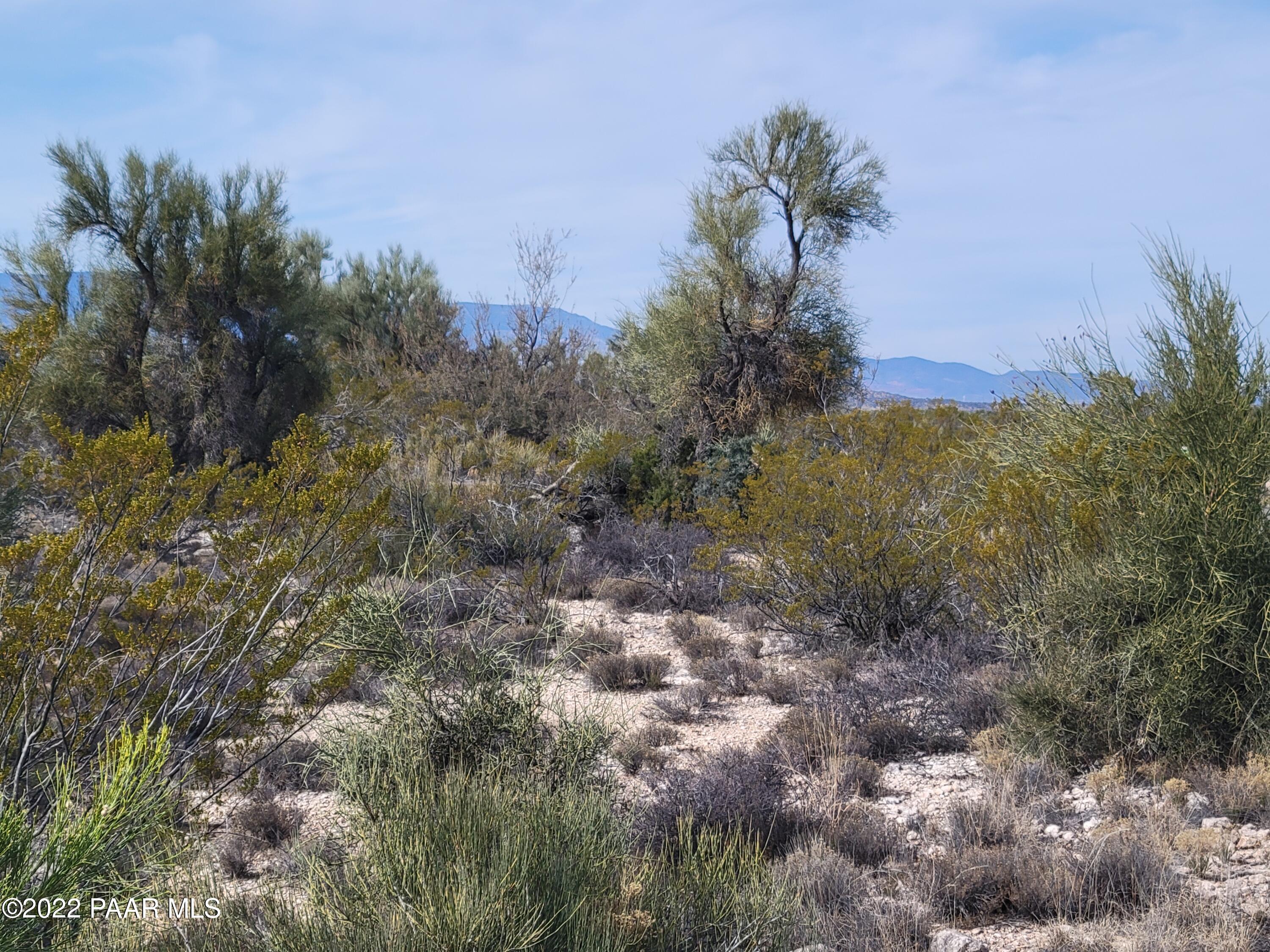 4235 East Gray Hawk Lane Rimrock, AZ 86335 - Photo 5 of 14 20220115_112841