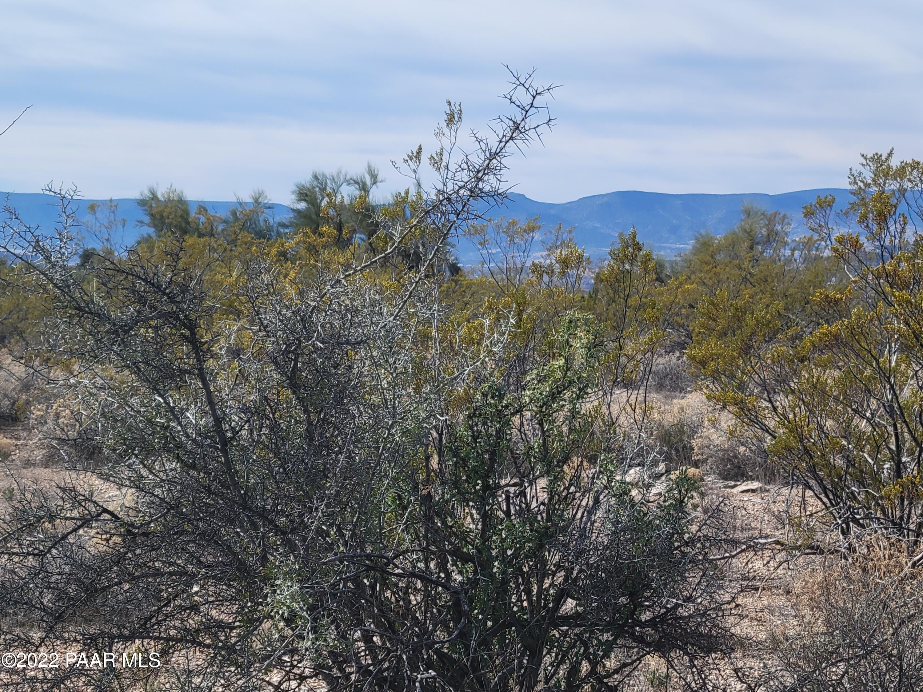 4235 East Gray Hawk Lane Rimrock, AZ 86335 - Photo 8 of 14 very level lot