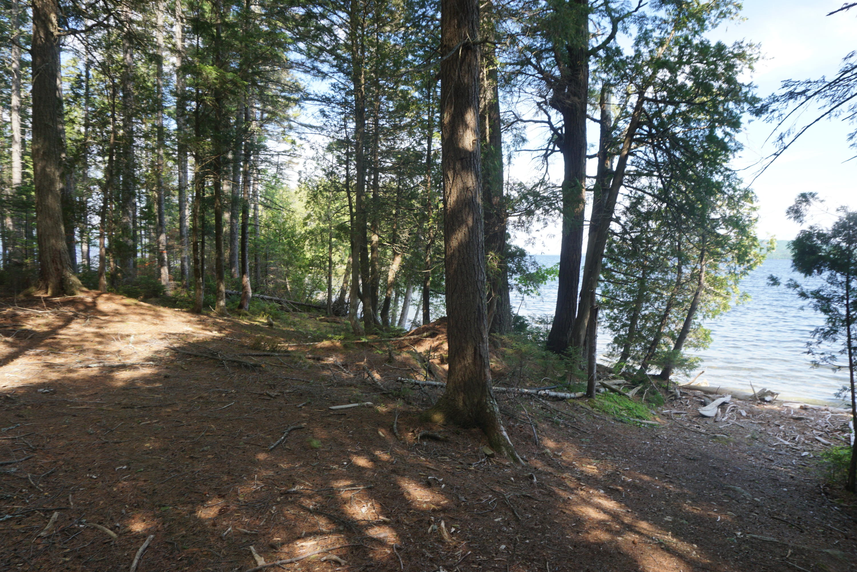 1.3 Evergreen Point Road Beaver Cove, ME 04441 - Photo 15 of 29 08F2D9DB-79BC-4142-8B09-C4E1D4386FFE