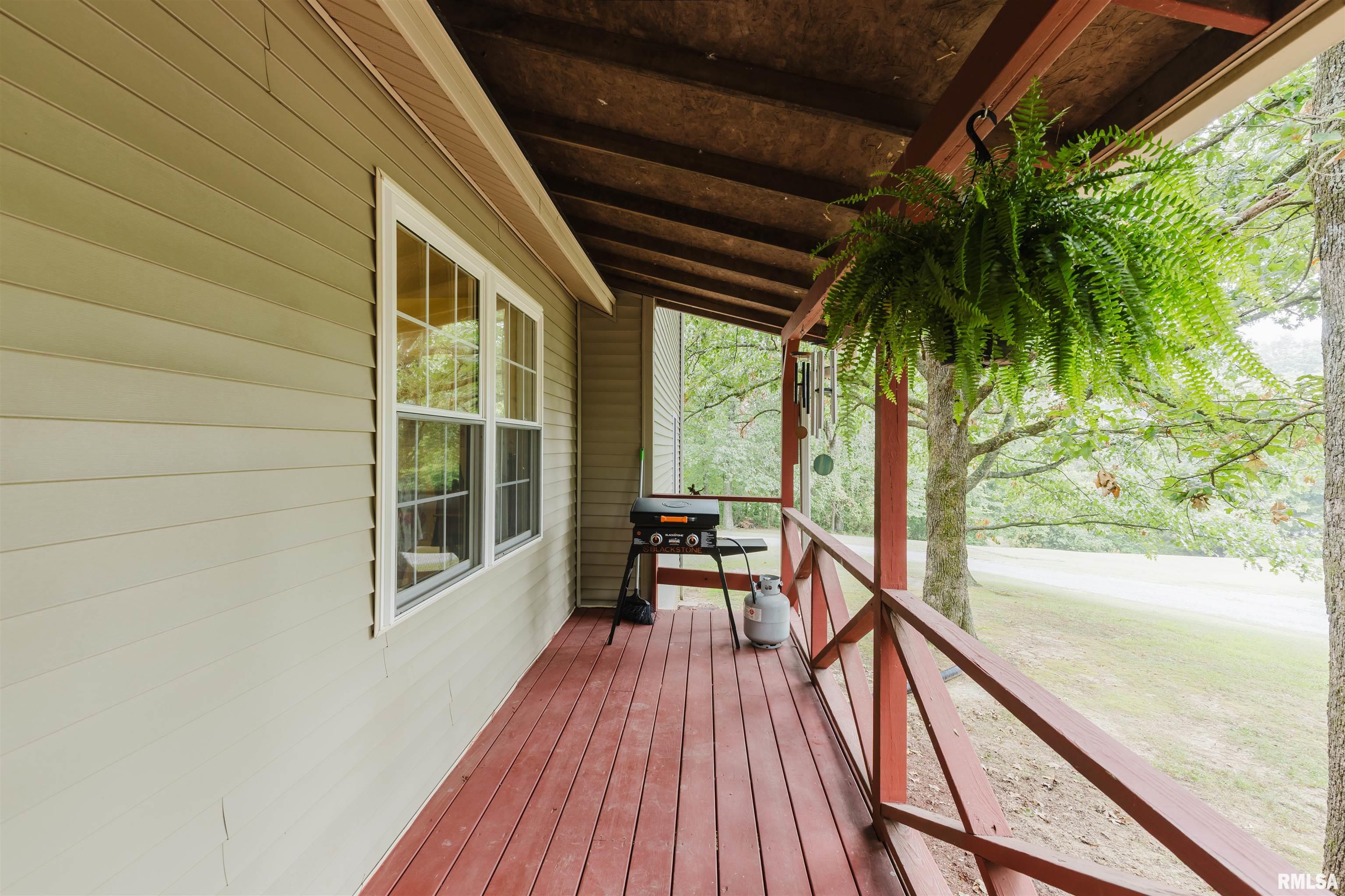 22456 Corinth Road Thompsonville, IL 62890 - Photo 4 of 47