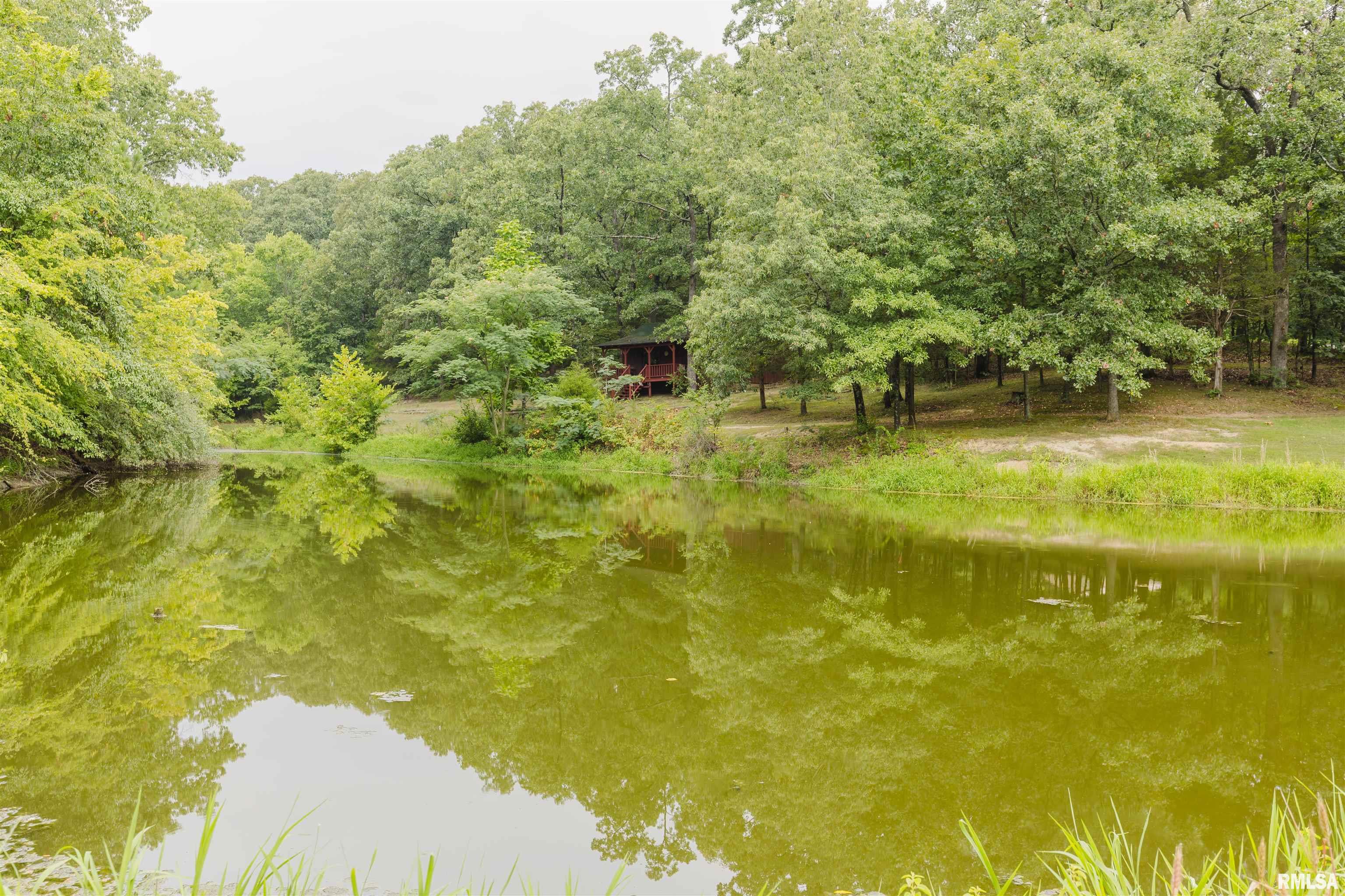 22456 Corinth Road Thompsonville, IL 62890 - Photo 41 of 47