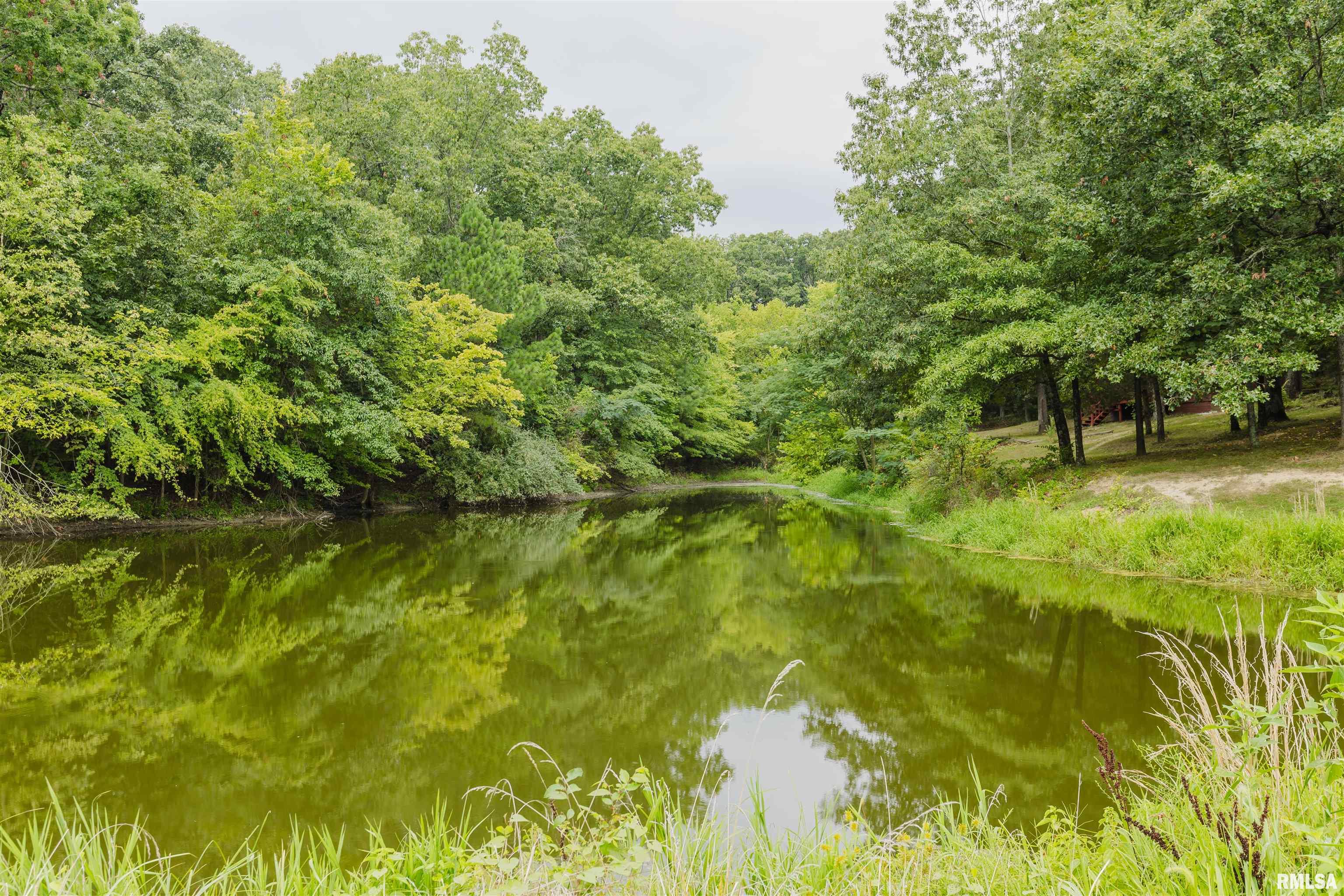22456 Corinth Road Thompsonville, IL 62890 - Photo 42 of 47