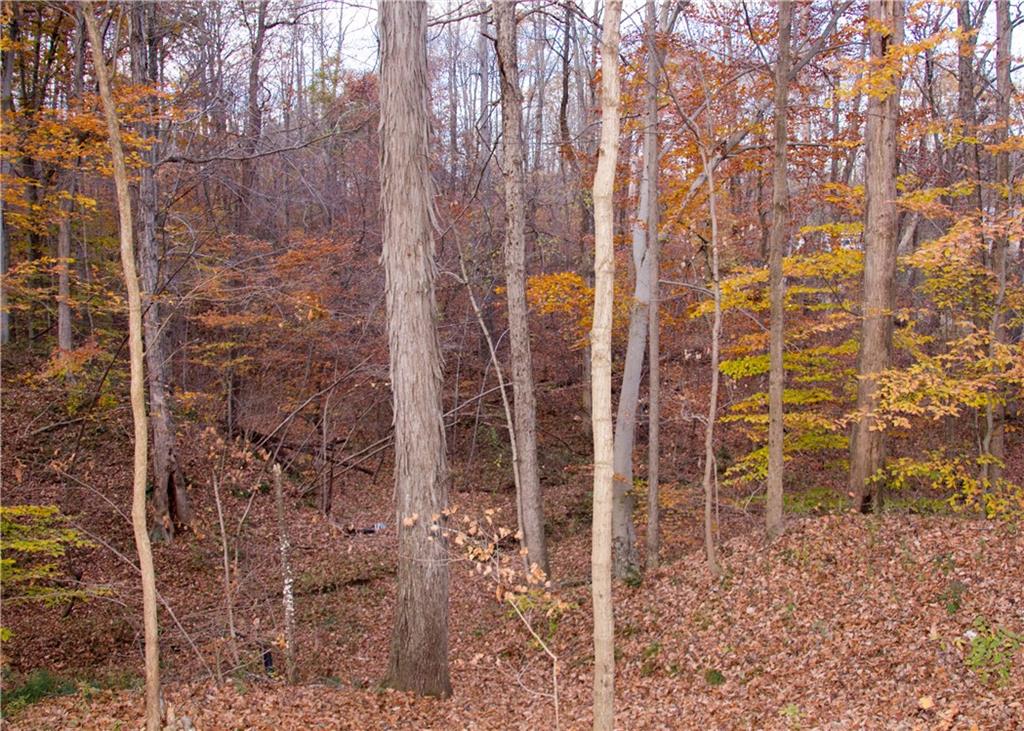 4040 Pitkin Road Martinsville, IN 46151 - Photo 15 of 16 Gallery Image 15