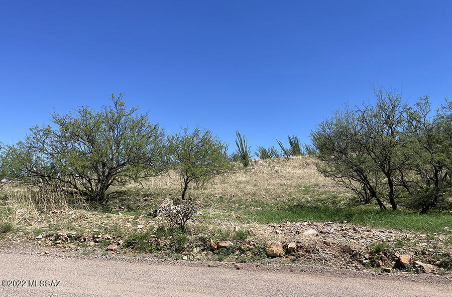 330 Dock Street, Unit 1 Rio Rico, AZ 85648 - Photo 6 of 7