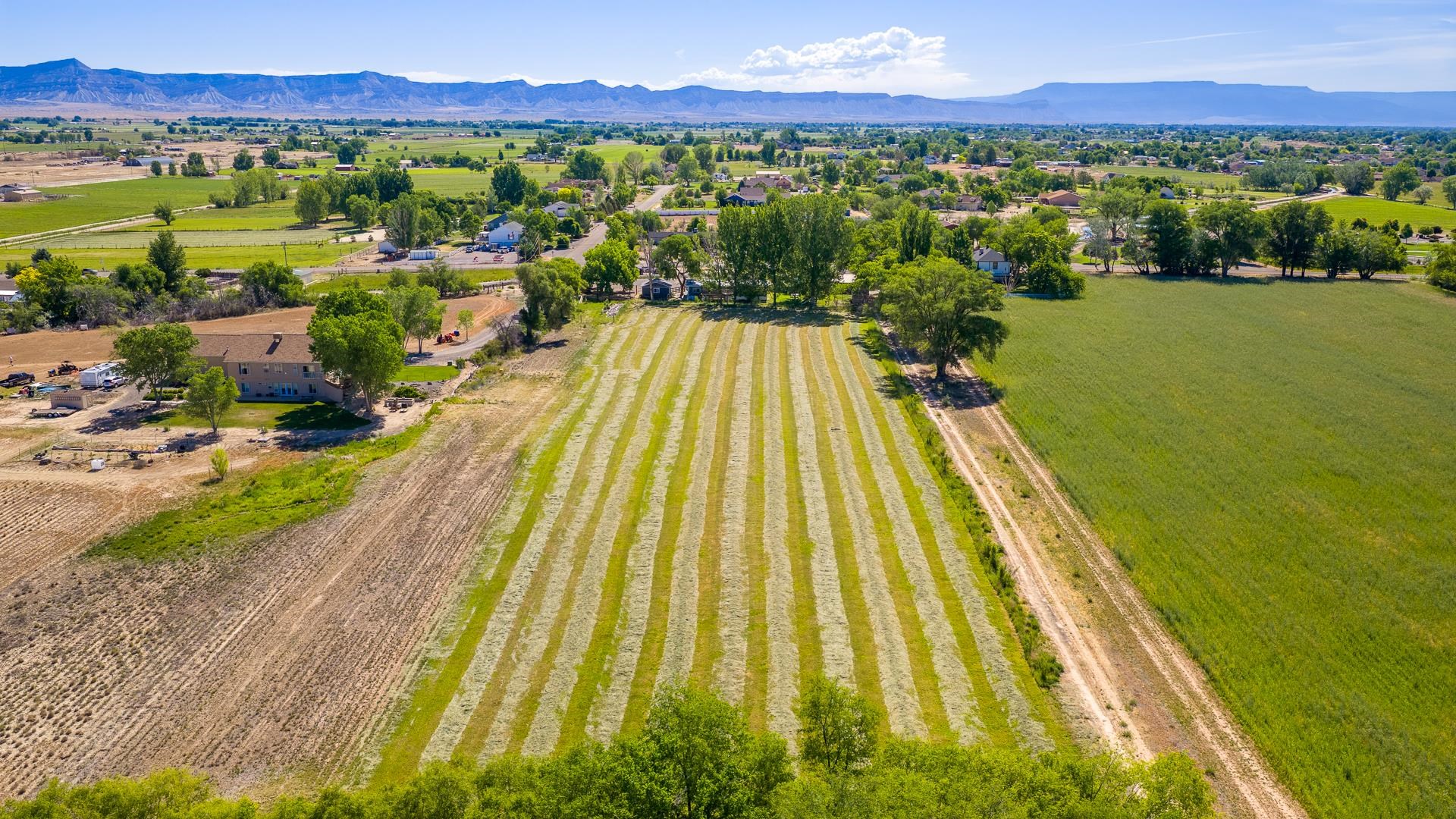 1221-17 17 1/2 Road Fruita, CO 81521 - Photo 32 of 36